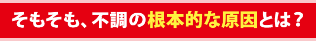 そもそも、不調の根本的な原因とは？